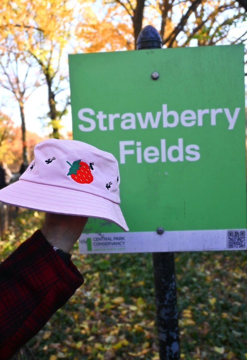 "Strawberry & Ants" bucket hat